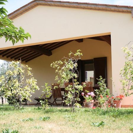 קסטנייטו קרדוצ'י Graziosa Casetta Con Piscina מראה חיצוני תמונה